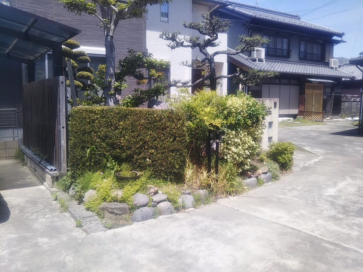 Before画像