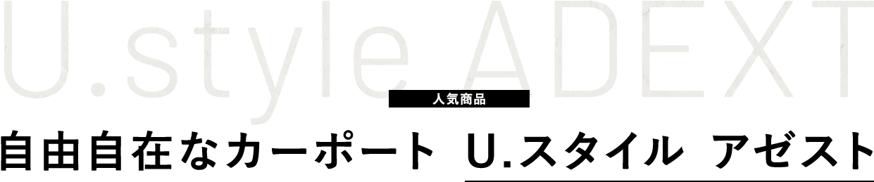 人気商品。自由自在なカースペース U.スタイル アゼスト